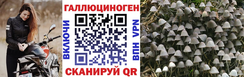 omg   Челябинск  Галлюциногенные грибы прущие грибы  дарк нет Telegram  закладки 